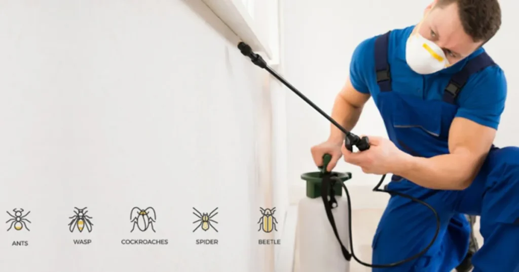 Professional pest control services