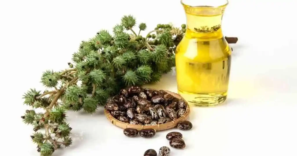 Castor Oil