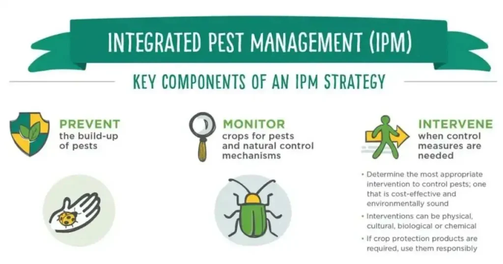 Integrated Pest Management (IPM)